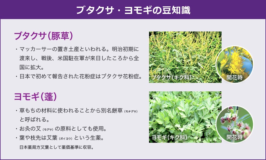 秋にも花粉!?ハウスダストって?|鼻炎Q\u0026A|アレルギー専用