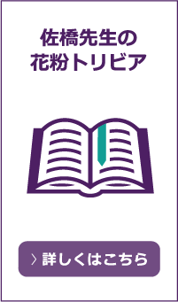 アレグラ豆知識
