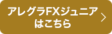 アレグラFX ジュニア