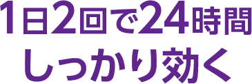 1日2回で24時間しっかり効く