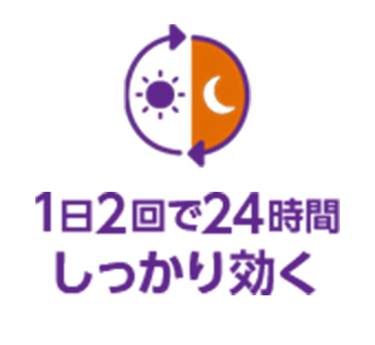 1日2回で24時間しっかり効く