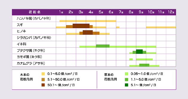 花粉 症 喉 痛い