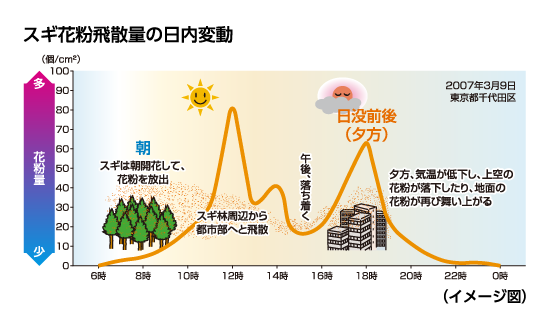 スギ花粉飛散量の日内変動