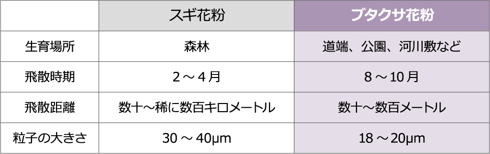 スギ花粉とブタクサ花粉の違い