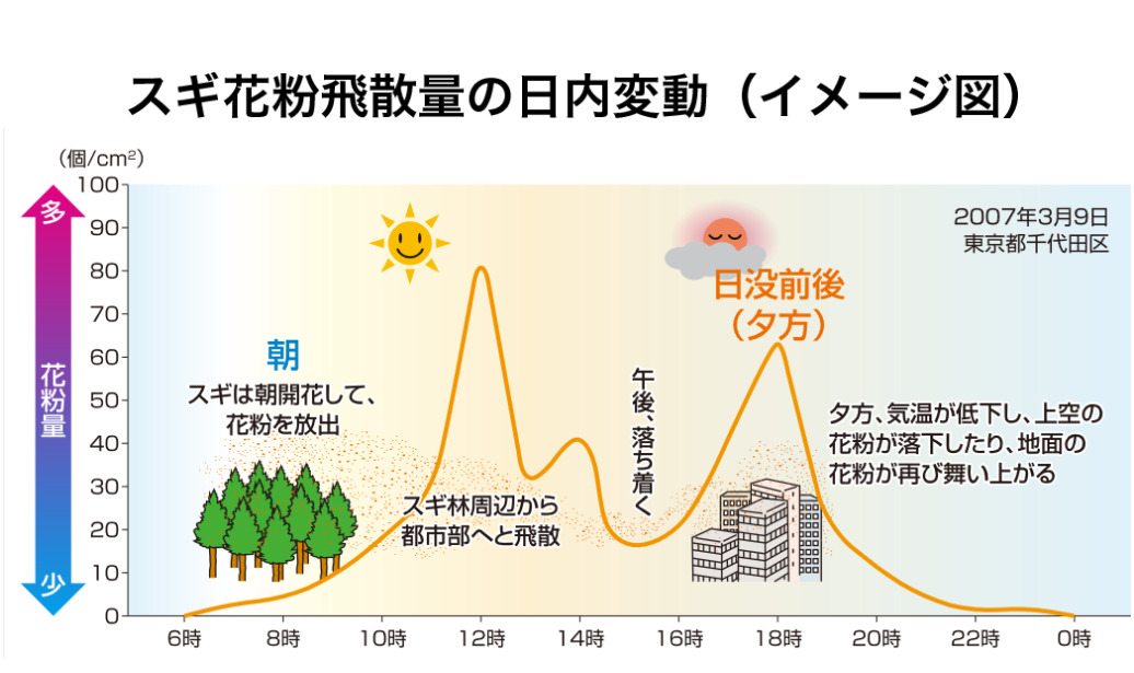 1日の中で花粉のピークっていつ 朝と夜の違い アレグラfx アレルギー専用鼻炎薬 久光製薬株式会社