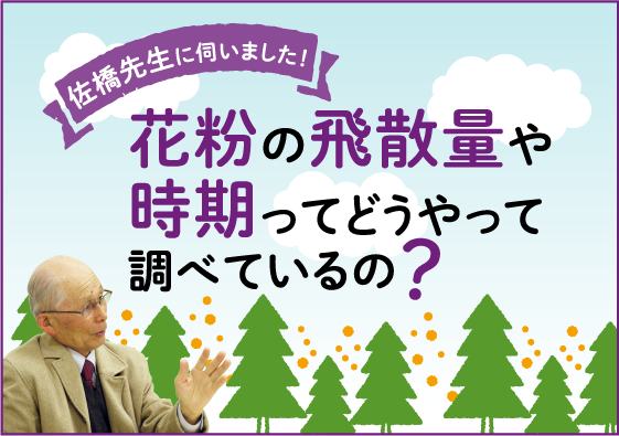 佐橋先生に伺いました！花粉飛散量はどのように予測しているの？