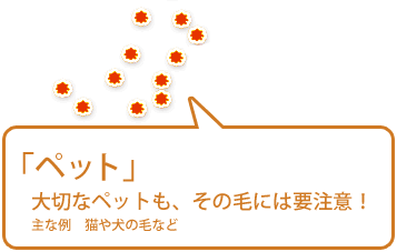 【ペット】大切なペットも、その毛には要注意！（主な例　猫や犬の毛など）