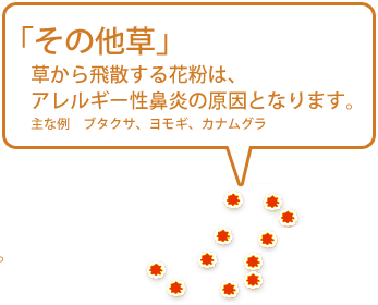 【その他草】草から飛散する花粉は、アレルギー性鼻炎の原因となります。（主な例　ブタクサ、ヨモギ、カナムグラ）