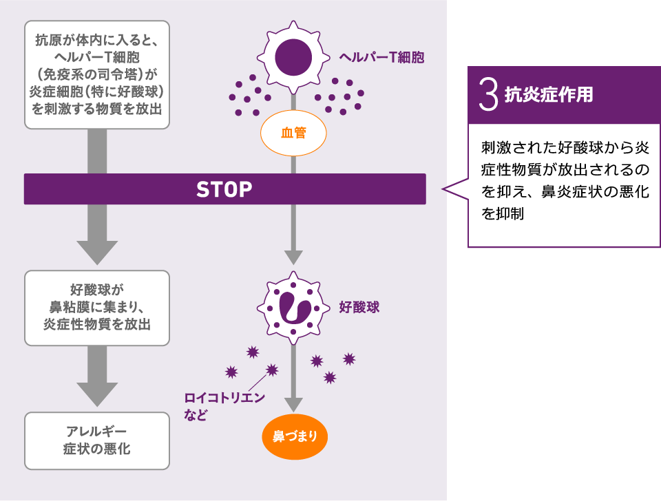  3.抗炎症作用