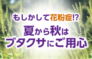 もしかして花粉症！？ 夏から秋はブタクサにご用心