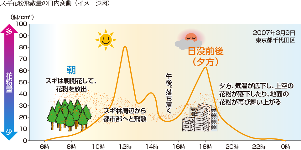 アレグラ ジュニア