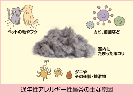 ペットの毛やフケ カビ、細菌など 室内にたまったホコリ ダニやその死骸・排泄物