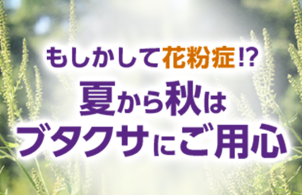 もしかして花粉症!? 夏から秋はブタクサにご用心